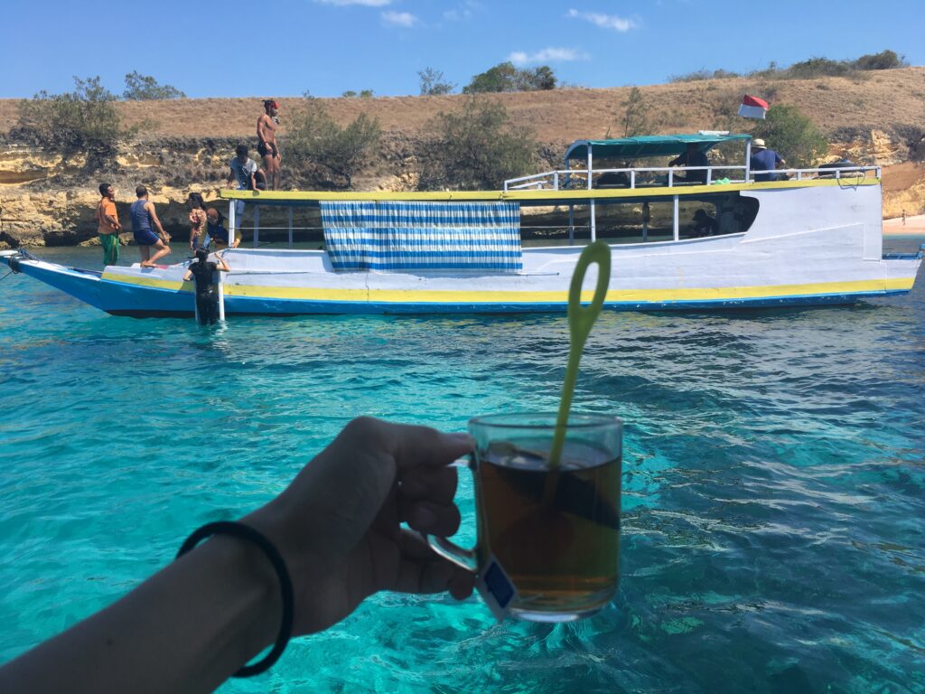 Indonesia Padar Island 印尼 帕達爾島