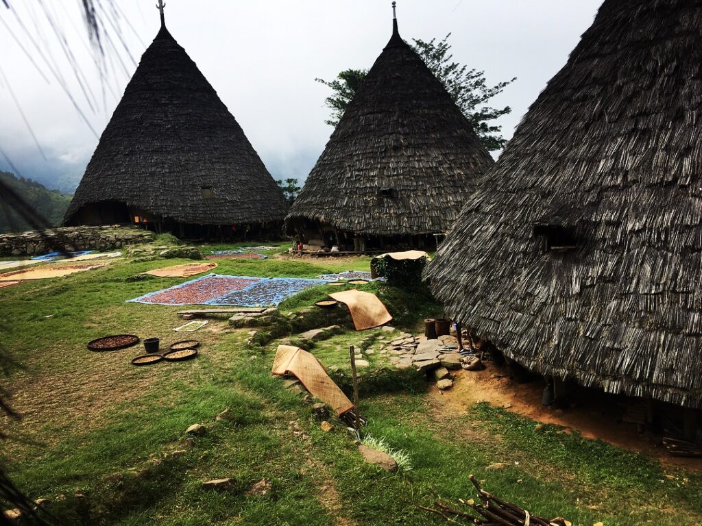 印尼 Wae Rebo傳統村莊 Indonesia Wae Rebo Village
