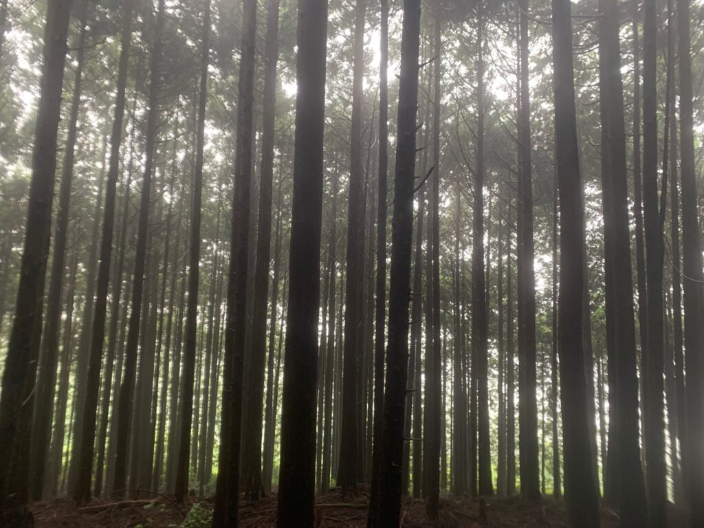 Japan Kumano Kodo Nakahechi Route 日本 熊野古道 中邊路