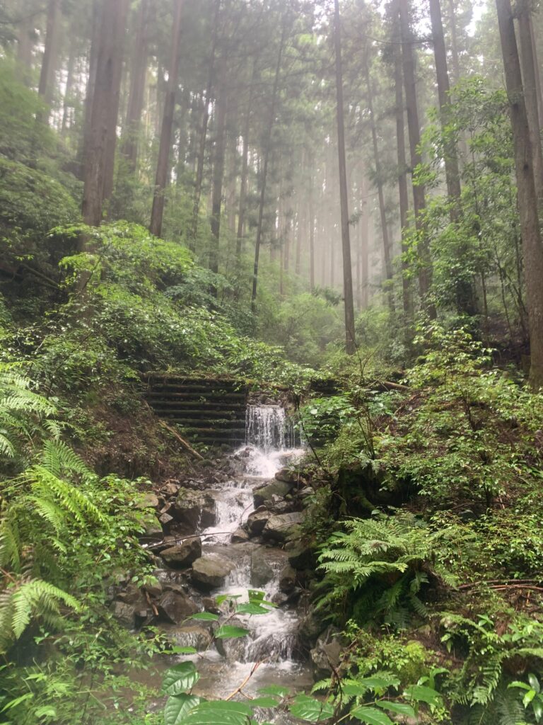 Japan Kumano Kodo Nakahechi Route 日本 熊野古道 中邊路