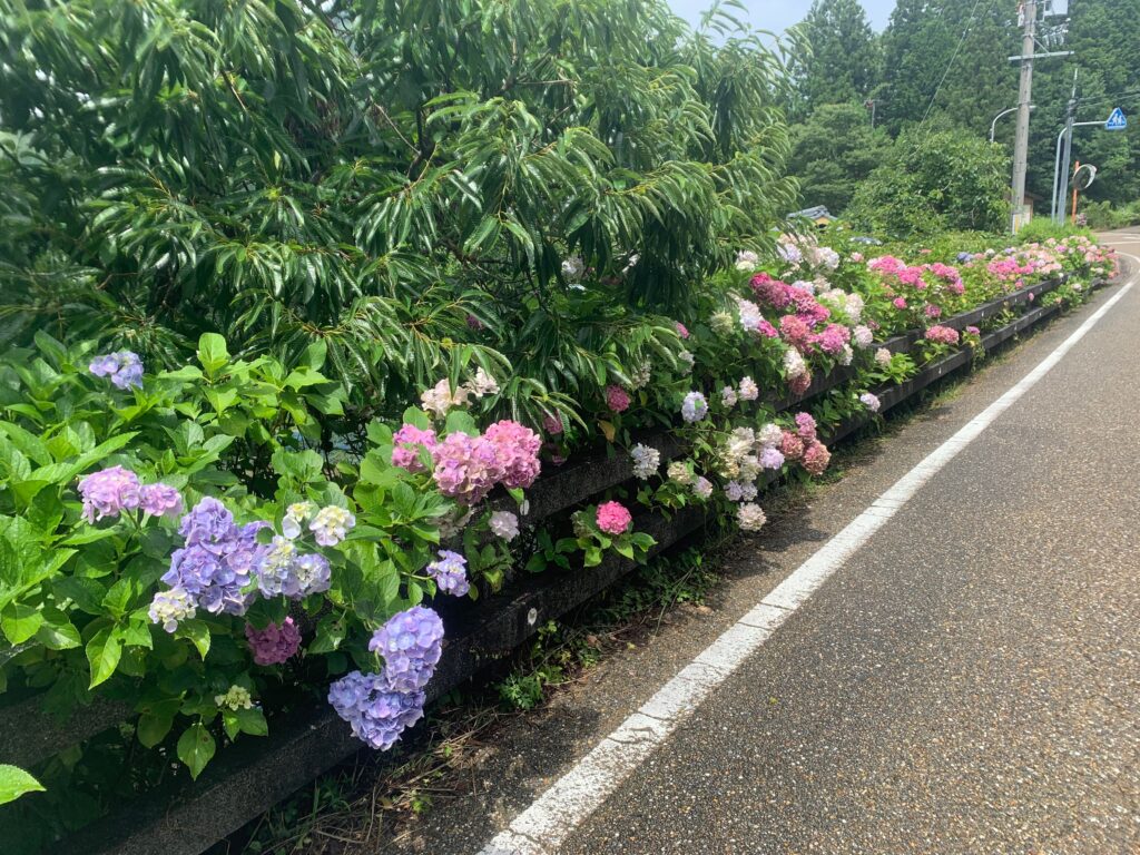 Japan Kumano Kodo Nakahechi Route 日本 熊野古道 中邊路