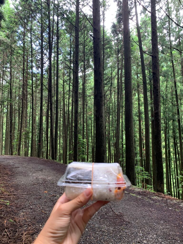 Japan Kumano Kodo Nakahechi Route 日本 熊野古道 中邊路